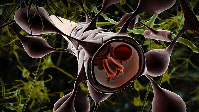 Illustration for article titled Ultrasound Helps Drugs Sneak Past the Blood-Brain Barrier